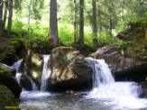 Photo prise en Juillet 2003.Ce ruisseau se trouve sur la route des Lindarets après le lac de Montriond vers la ville de Morzine (74)